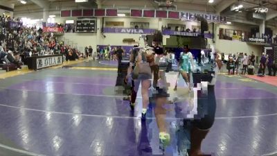 160 lbs Cons. Round 3 - Talia Reed, Missouri Baptist University vs Deja`nette Wallace, William Woods