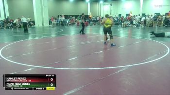 215 lbs Round 4 (10 Team) - Noah Hegi-Jones, Verot Vikings vs Hamlet Perez, Naples Wrestling Club