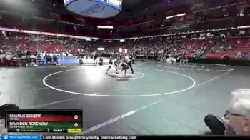 D1-195 lbs Champ. Round 1 - Brayden Rosenow, Menomonee Falls vs Charlie Eckert, Milton