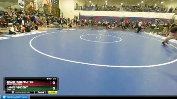 220 lbs Quarterfinal - James Vincent, Lake City vs David Foremaster, Rocky Mountain