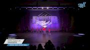 Portal Dance Lab - Rangers [2025 Youth - Hip Hop - Small Day 2] 2025 Power Dance Grand Nationals