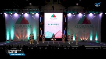 Austin Cheer Academy - Black Ice [2025 L2 Senior - D2 Day 2] 2025 The Southwest Regional Summit