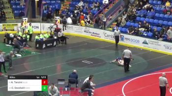 89 lbs Round Of 64 - Aidan Tanzini, Blue Ridge vs Caleb Goodwill, Saegertown