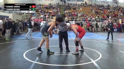 217 lbs Cons. Round 3 - Xander Woods, Nelsonville-York vs Dominic Andria, Westfall