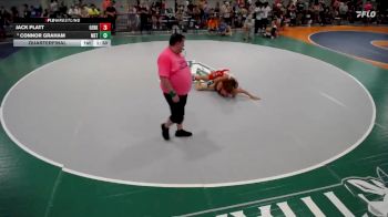 146-149 lbs Quarterfinal - Connor Graham, Metamora vs Jack Platt, Aurora (West Aurora)