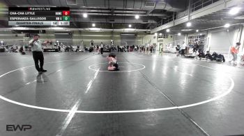 98 lbs Quarterfinal - Cha-Cha Little, Big Game Wrestling Club vs Esperanza Gallegos, NM Gold