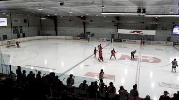 Replay: Home - 2025 Rebels U18 AAA vs ND Hounds U18 (G) | Mar 10 @ 7 PM