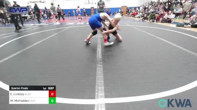 73 lbs Quarterfinal - Eli Livesay, Blanchard Youth Wrestling vs Mike McFadden, CCYO