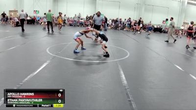 48 lbs Round 4 (8 Team) - Apollo Hawkins, Mat Assassins vs Ethan Panyavuthiler, Warhawks Wrestling