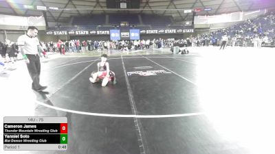 75 lbs Cons. Semis - Cameron James, Thunder Mountain Wrestling Club vs Yanniel Soto, Mat Demon Wrestling Club