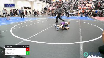 49 lbs Consi Of 4 - Chevy Welden, Raw Wrestling Club vs Raiden Davis, Vian Wrestling Club