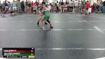 88 lbs Round 1 (4 Team) - Luca Donello, Pursuit WA vs Benjamin Kamertz, Red Devil WC