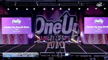 Florida Top Dog All Stars - Frost [2026 L2 Junior - Flex - Small - A Day 2] 2026 One Up Grand Nationals