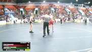 119 lbs Champ. Round 2 - Zak Massaro, St Francis vs Andrew Wagner, Dark Horse WC