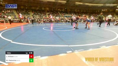 115 lbs Quarterfinal - Jordan Allison, Glenpool Youth Wrestling vs Mia Palomino, NM Beast