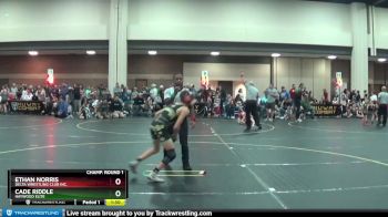 85 lbs Champ. Round 1 - Ethan Norris, Delta Wrestling Club Inc. vs Cade Riddle, Haywood Elite