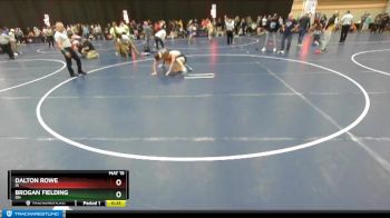 138 lbs Cons. Round 6 - Brogan Fielding, OH vs Dalton Rowe, IA