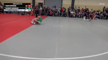 95 lbs Cons. Round 1 - Robert Kerzman, Paynesville vs Liam Huffman, Immortal Athletics WC