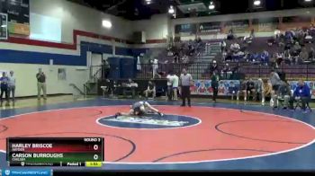 106 lbs Round 3 - Harley Briscoe, Hayden vs Carson Burroughs, Chelsea