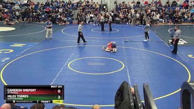 116 lbs Champ. Round 2 - Cameron Wiepert, St Francis vs Miles Torres, Southwestern