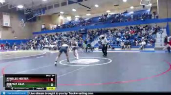 145 lbs Champ. Round 1 - Aynslee Hester, Mt. Si vs Brenda Ceja, McKay