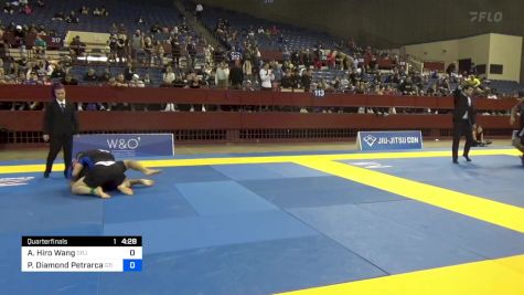 Adam Hiro Wang vs Paul Diamond Petrarca 2024 Pan IBJJF Jiu-Jitsu No-Gi Championship