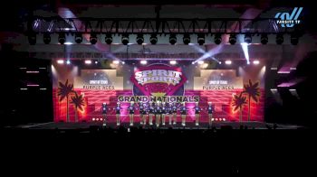 Spirit of Texas - Purple Aces [2025 L3 Junior - Small Day 3] 2025 Spirit Sports Grand Nationals
