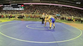 D1-165 lbs Champ. Round 1 - Trey Setter, Clarkston HS vs Andrew White, Detroit Catholic Central HS