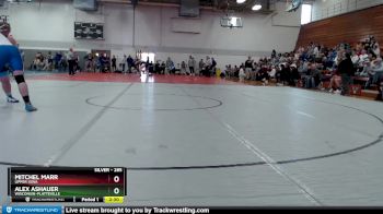 285 lbs Champ. Round 2 - Alex Ashauer, Wisconsin-Platteville vs Mitchel Marr, Upper Iowa