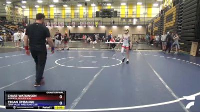 83 lbs Quarterfinal - Chase Watkinson, Immortal Athletics WC vs Tegan Umbaugh, Team Valley Wrestling Club