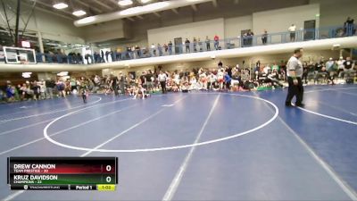 85 lbs Semis & 3rd Wb (16 Team) - Drew Cannon, Team Prestige vs Kruz Davidson, Champions