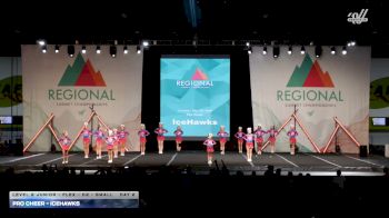 Pro Cheer - IceHawks [2026 L2 Junior - Flex - D2 - Small Day 2] 2026 The Southeast Regional Summit