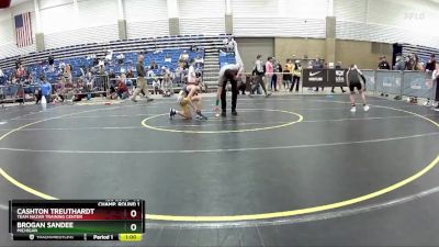 78 lbs Champ. Round 1 - Cashton Treuthardt, Team Nazar Training Center vs Brogan Sandee, Michigan