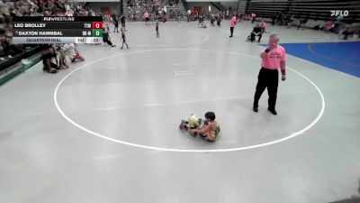 48-52 lbs Quarterfinal - Daxton Hannibal, Backyard Brawlers - Midwest vs Leo Brolley, TJ Trained Wrestling