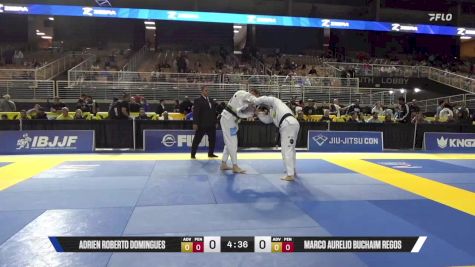 Marco Aurelio Buchaim Regos vs Adrien Roberto Domingues 2025 Pan Jiu Jitsu IBJJF Championship