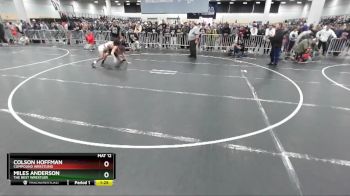 132 lbs Semifinal - Colson Hoffman, Compound Wrestling vs Miles Anderson, The Best Wrestler