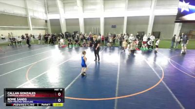 49 lbs Quarterfinal - Callan Gonzales, Champions Wrestling Club vs Rome Sands, Team Prestige Wrestling