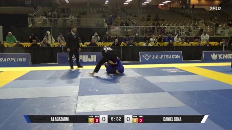 Daniel Sena vs AJ Agazarm 2025 Pan Jiu Jitsu IBJJF Championship