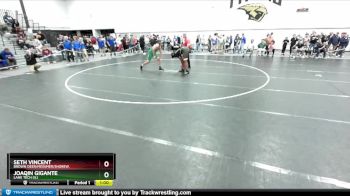 215 lbs Cons. Round 2 - Joaqin Gigante, Lane Tech (IL) vs Seth Vincent, Brown Deer/Messmer/Shorew.