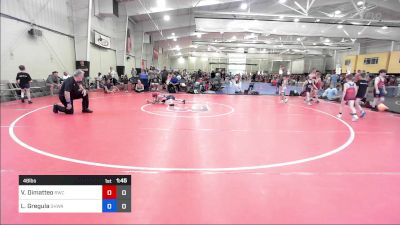 48 lbs Final - Vito Dimatteo, Ruthless WC MS vs Lukas Gregula, South Hills Wrestling Academy