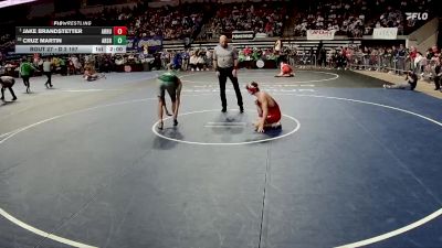 D 2 157 lbs Champ. Round 1 - Jake Brandstetter, Archbishop Rummel vs Cruz Martin, Archbishop Shaw