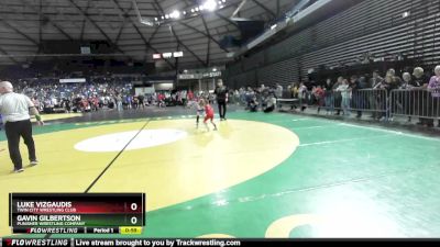 53 lbs Champ. Round 2 - Luke Vizgaudis, Twin City Wrestling Club vs Gavin Gilbertson, Punisher Wrestling Company