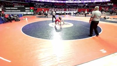 3A 157 lbs Cons. Semi - Jovan Vukajlovic, Flossmoor (Homewood-F.) vs Radic Dvorak, Huntley