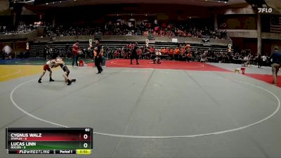 60 lbs Quarterfinals (8 Team) - Lucas Linn, Rocori vs Cygnus Walz, Staples