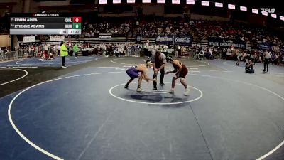 D 1 126 lbs Cons. Round 2 - Eduin Arita, Chalmette vs Etienne Adams, Hahnville