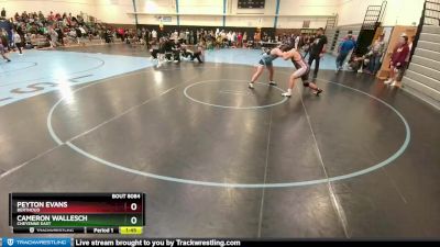 221-241 lbs Round 3 - Cameron Wallesch, Cheyenne East vs Peyton Evans, Berthoud