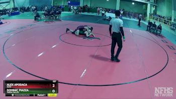 157 lbs Quarterfinal - Alex Apodaca, Elko vs Dominic Piazza, Virgin Valley