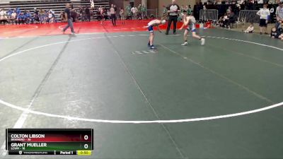 93 lbs Placement (4 Team) - Colton Libson, Brainerd vs Grant Mueller, LCWM