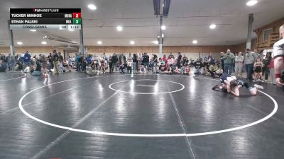 136 lbs Consolation - Tucker Minnoe, Moravia vs Ethan Palski, Williamsport