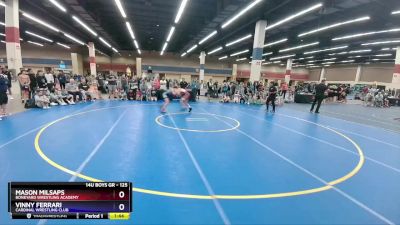 125 lbs Round 3 - Mason Milsaps, Boneyard Wrestling Academy vs Vinny Ferrari, Cardinal Wrestling Club